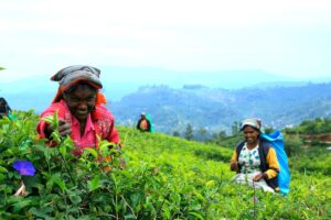 Culture & Village tours